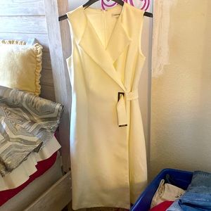 Calvin Klein beautiful dress